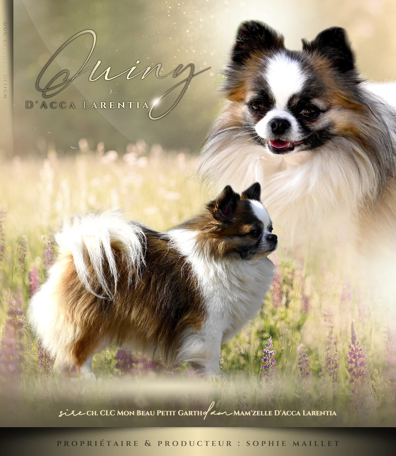 Ouiny presentation 2